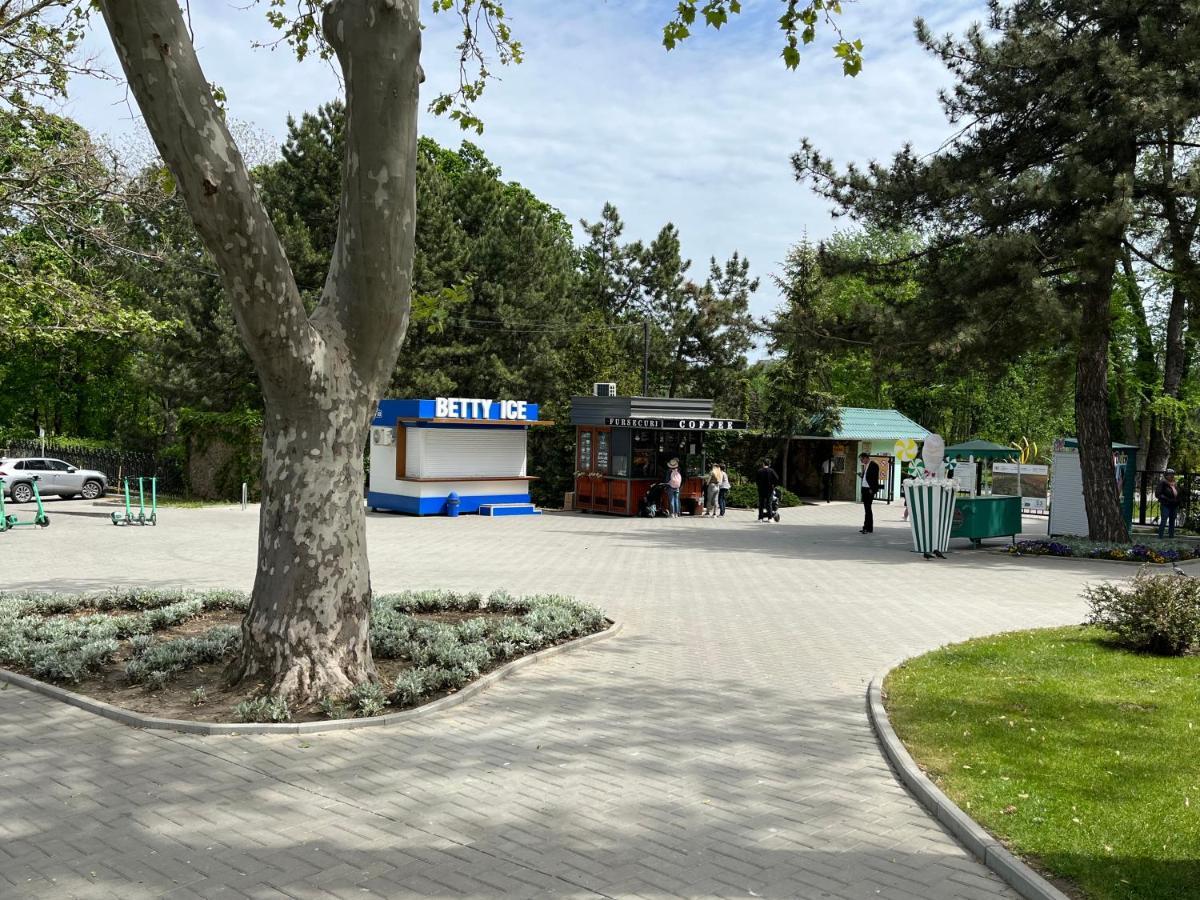 Dendrarium Park Apartment Chişinău Esterno foto