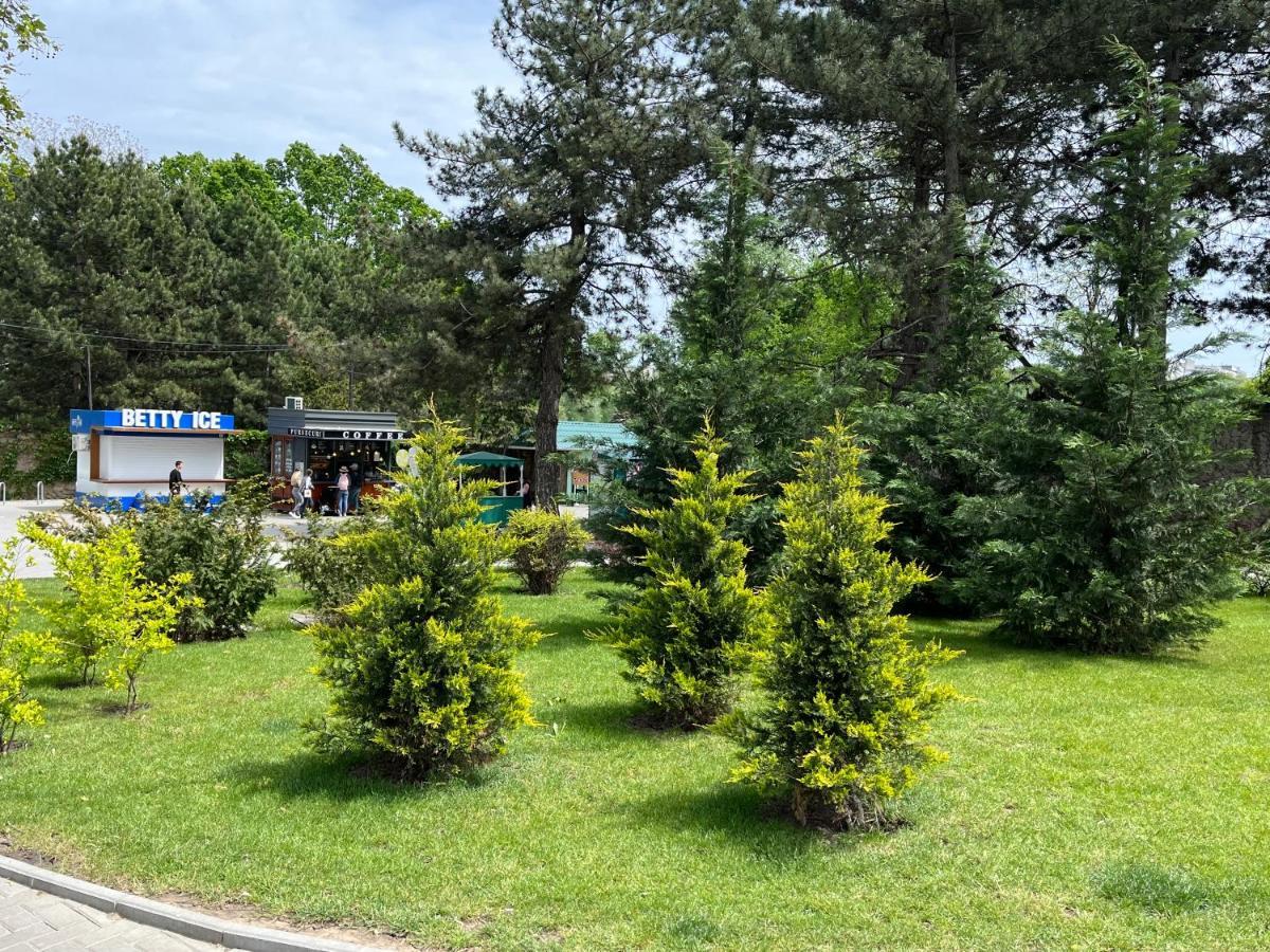 Dendrarium Park Apartment Chişinău Esterno foto